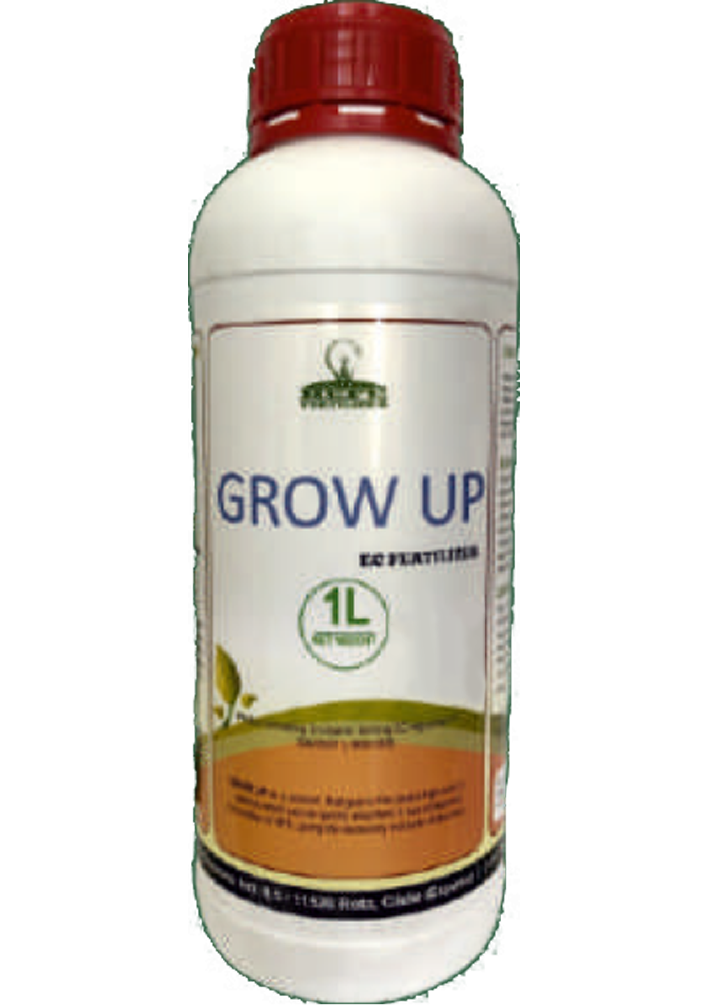 GROW UP 3-6-7