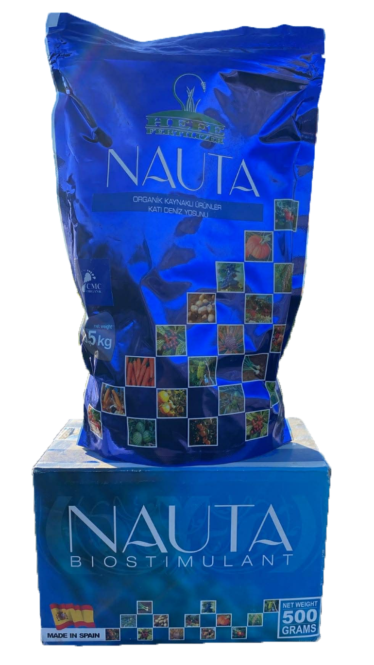 NAUTA