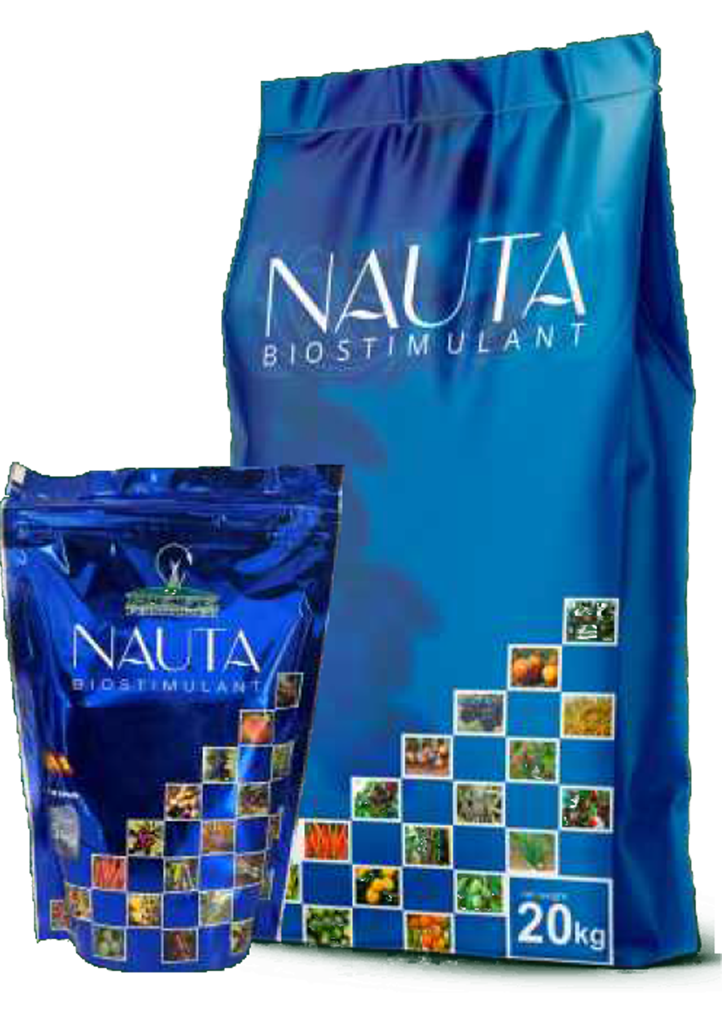 NAUTA