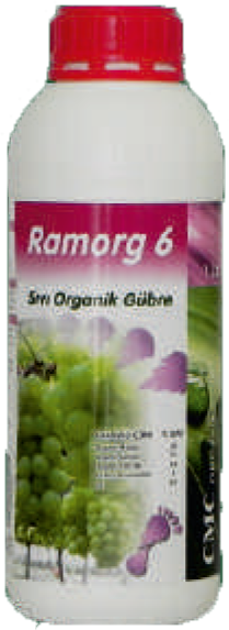 RAMORG 6