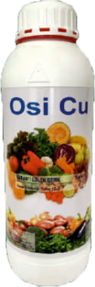 OSİ CU