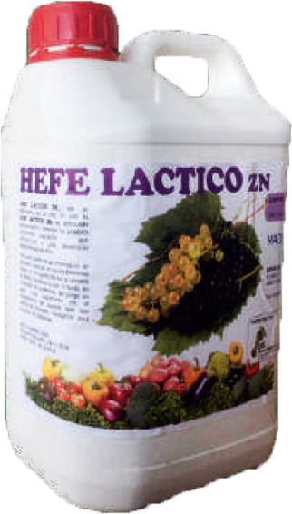 HEFE LACTİCO ZN