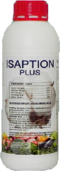 ISAPTION PLUS