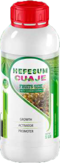 HEFESUM CUAJE