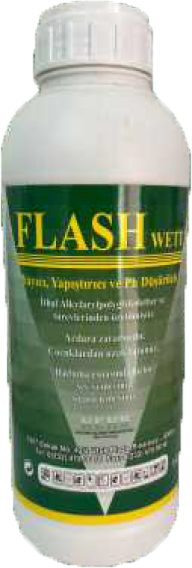 FLASH WETT