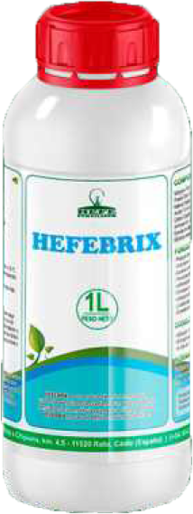 HEFE BRIX